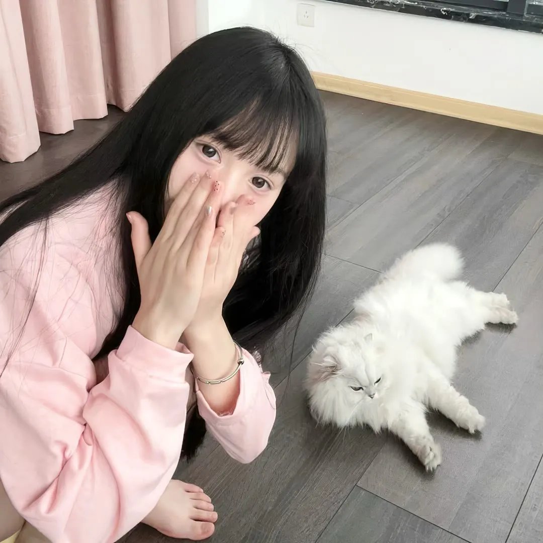赵小姐的日记